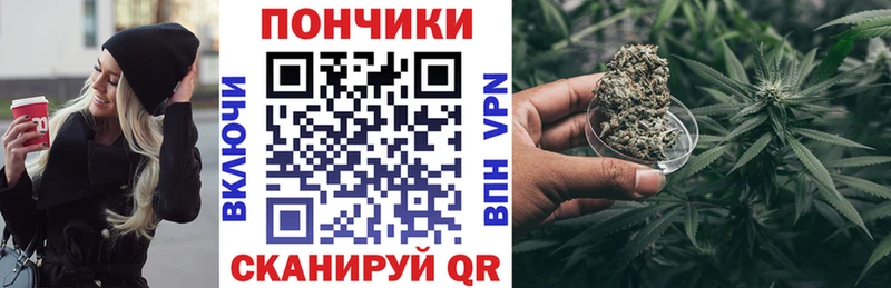 Каннабис план  Купить где  Шагонар 